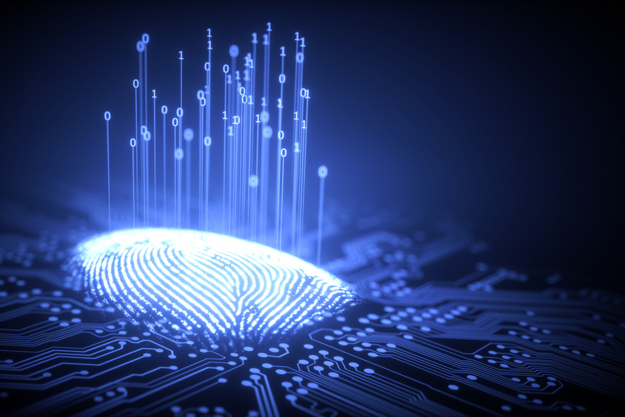 MIT twins chip fingerprints for authentication