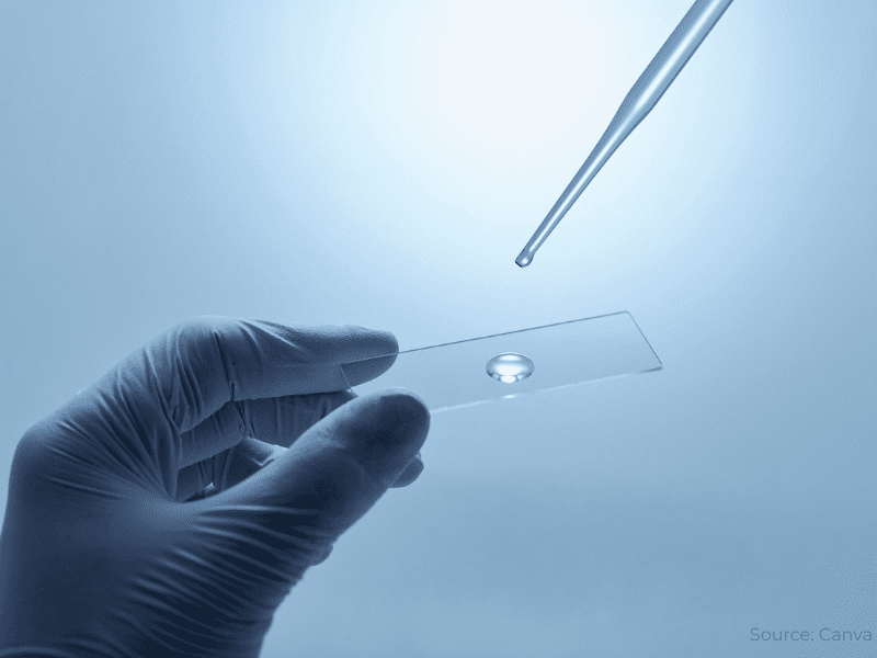 Roche puts CMOS sensors into sequencing race Roche puts CMOS sensors into sequencing race
