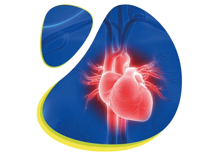Ceryx manufactures first implantable heart failure pacemaker Ceryx manufactures first implantable heart failure pacemaker